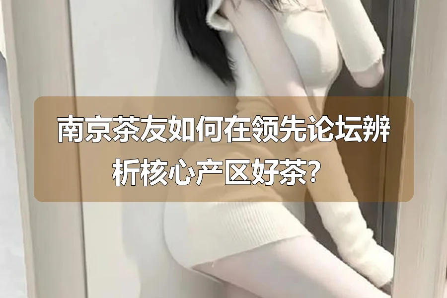 南京茶友如何在领先论坛辨析核心产区好茶？
